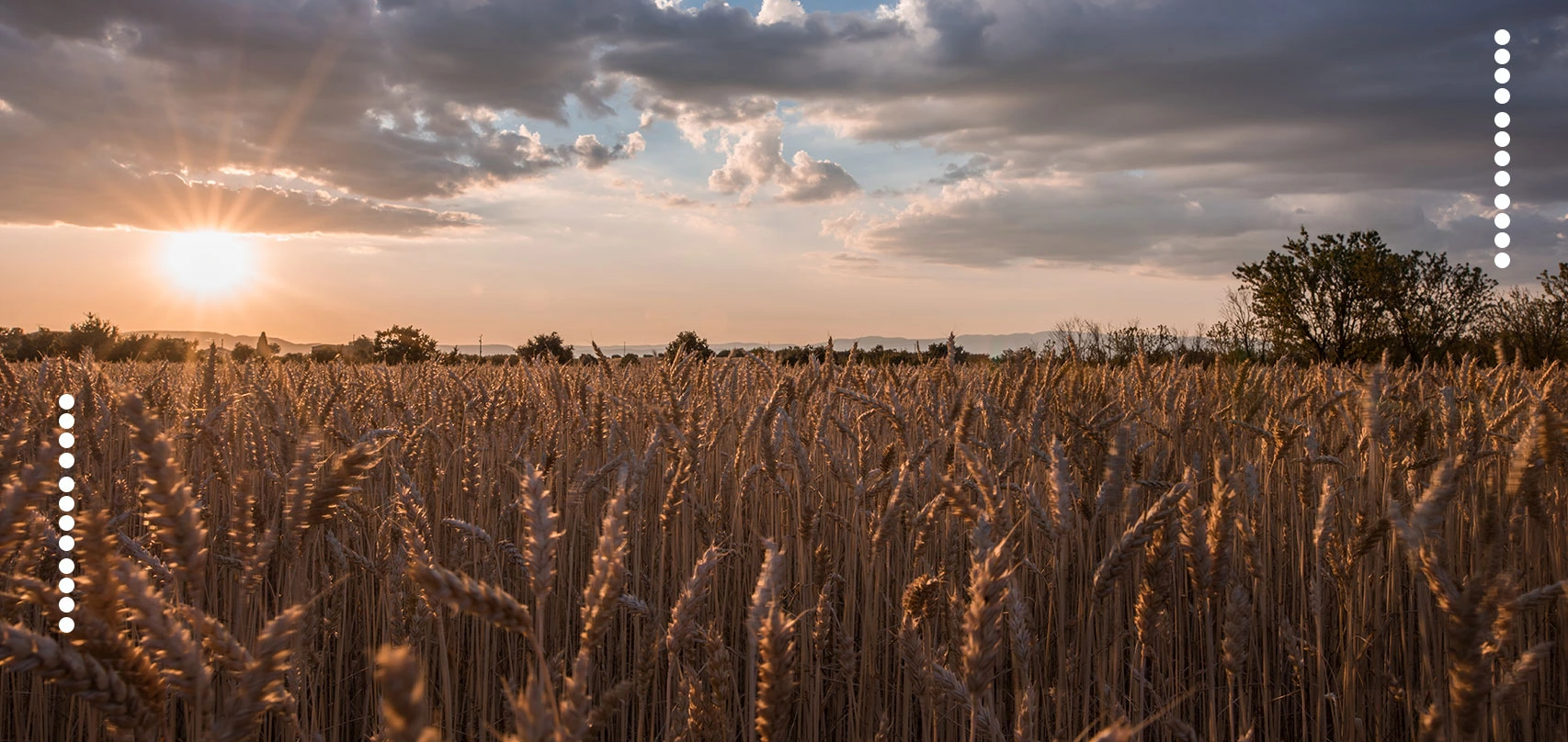 AM Machinery Magento webshop